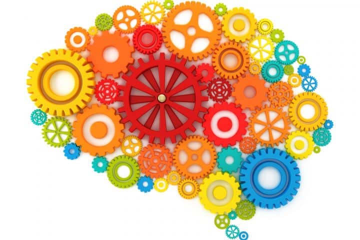 Brain Cogs