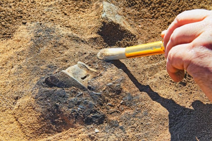 A rare archeological find is a fragment of a bronze celt. Careful clearing and fixing of the find