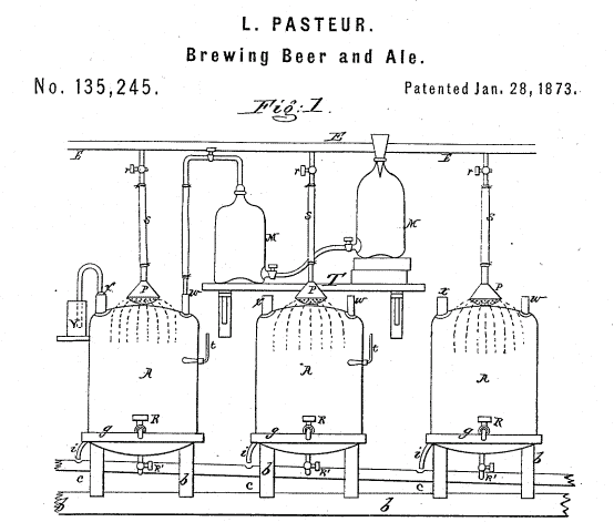 Brewing Beer