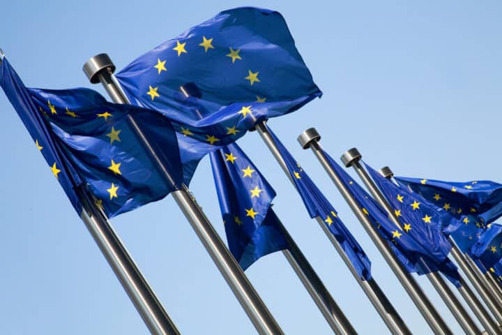 EU Flags