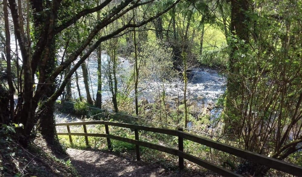 nature trail with brook