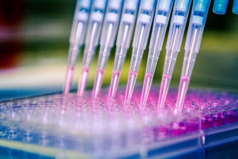 Pipettes and test tubes